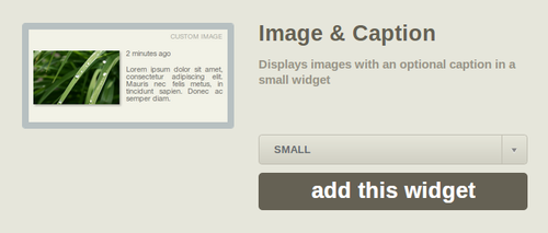 Ducksboard Image & Caption Widget